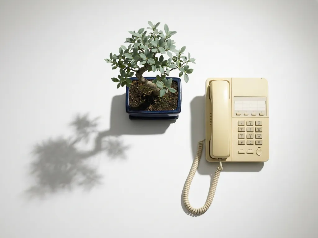 Miniatuur bonsaiboom naast een bureautelefoon op wit oppervlak, schaduw even groot als de telefoon, stijlvolle flatlay.